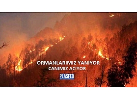 Ormanlarımız Yanıyor, Canımız Acıyor